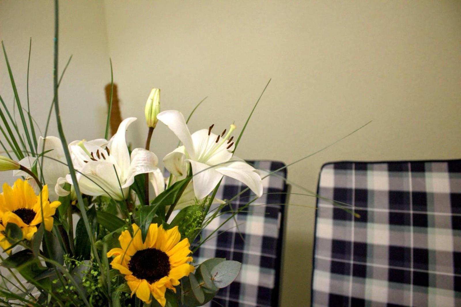 Apartment Danijela Ζαντάρ Εξωτερικό φωτογραφία