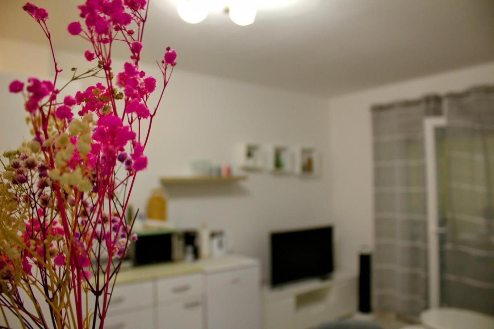Apartment Danijela Ζαντάρ Εξωτερικό φωτογραφία
